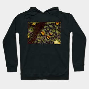 Fallen Autumn Leaves on the Grass Hoodie